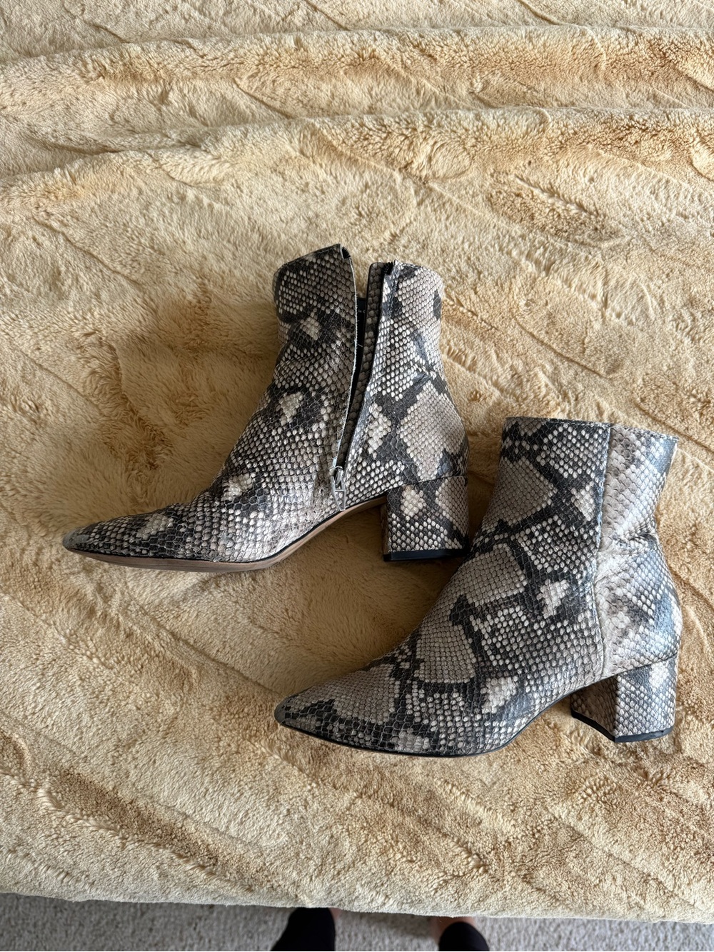 Dolce Vita Snake-Print Pointed Toe Ankle Boots in Gray and Black